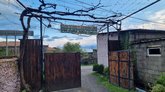 Old Vine