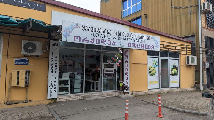 ორქიდეები