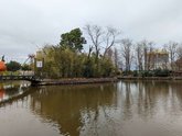 კუნძული ბამბუკის კორომით
