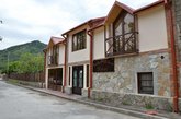 Bagineti