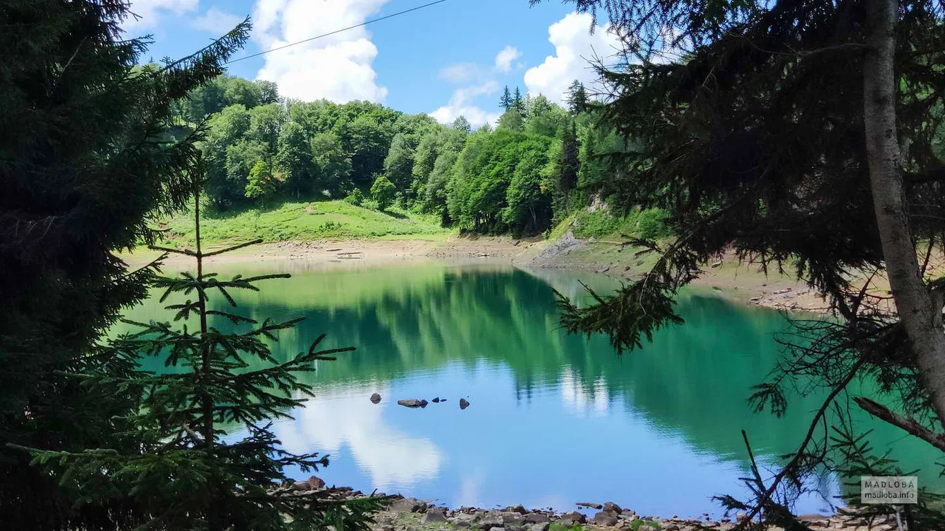 Лес отражается в прозрачной воде Озера Кулбаки