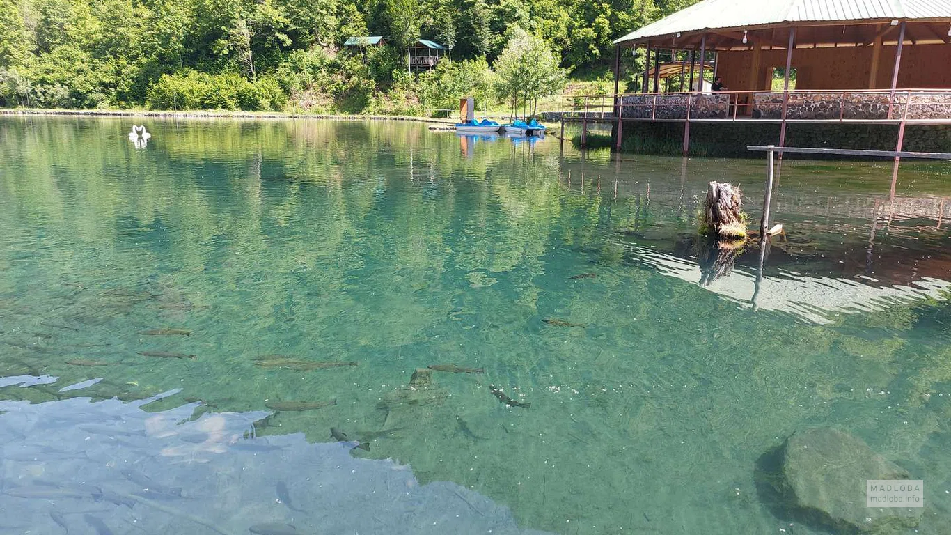 Рыбы в прозрачной воде Озера Кулбаки