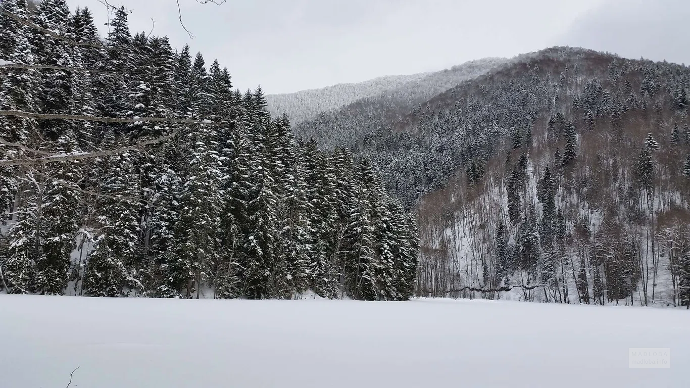 Зимний белоснежный пейзаж на озере Батети