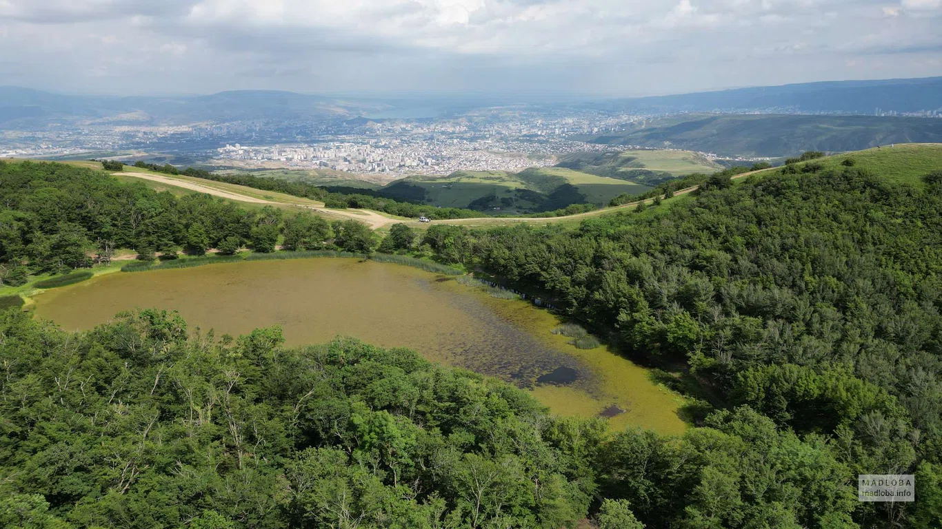 Сезонное цветение вода на озере Чили с панорамным видом на город у подножия горы