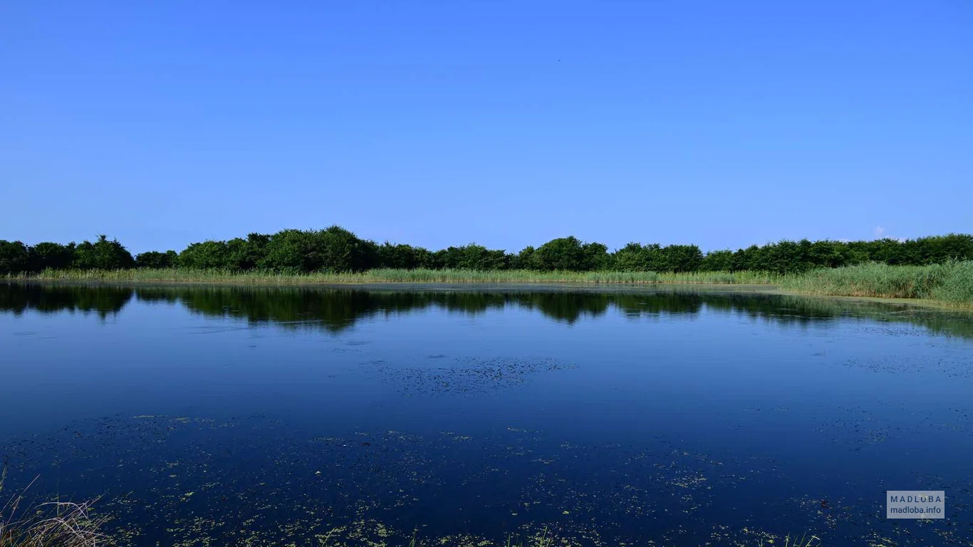 Спокойная синяя вода озера Григолети летом