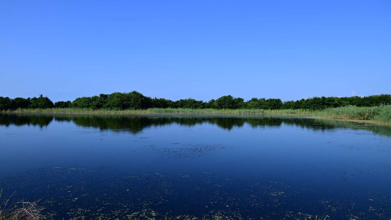 გრიგოლეთის ტბა