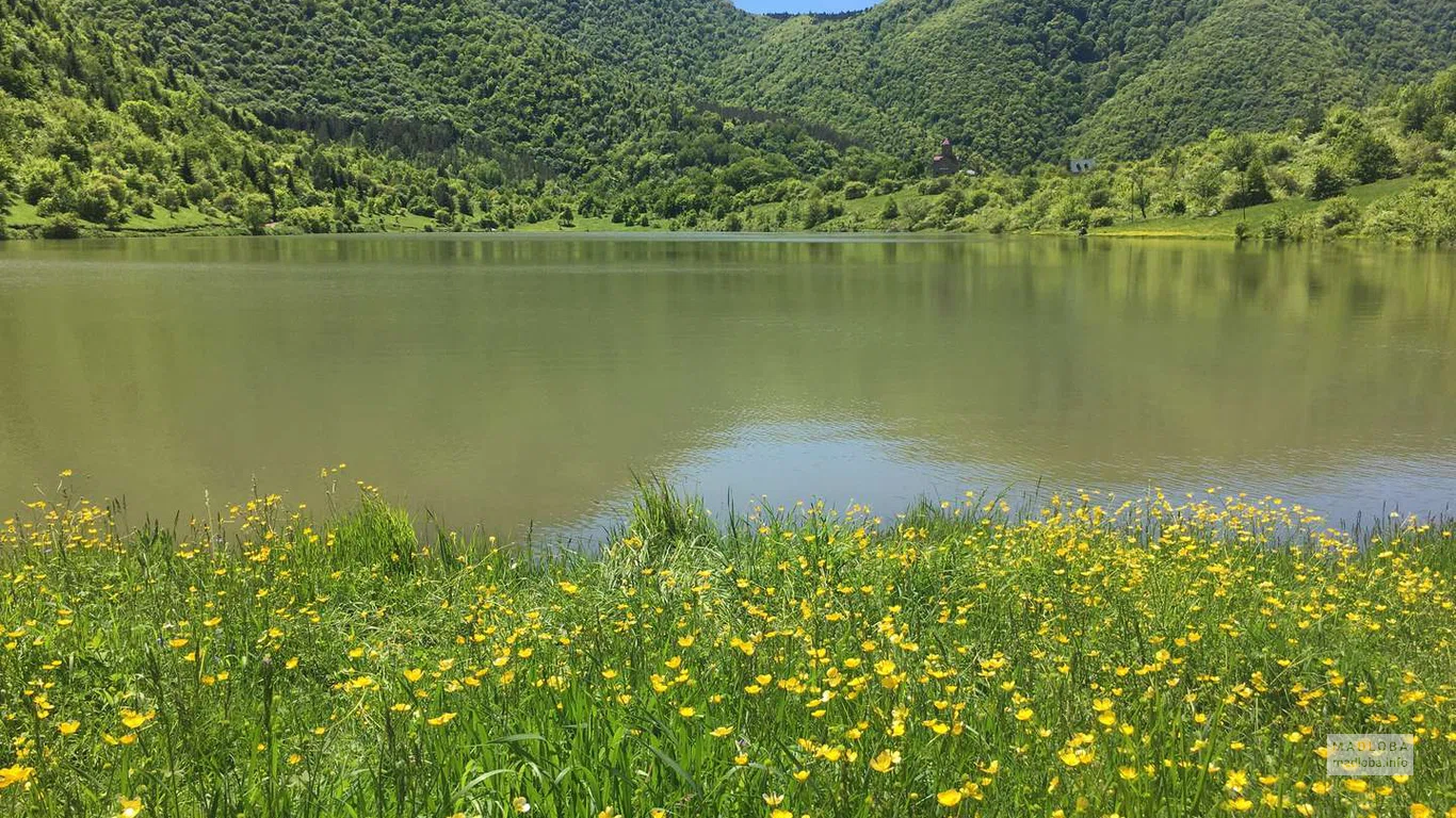 Яркое жаркое солнечное лето на озере Кодицкаро