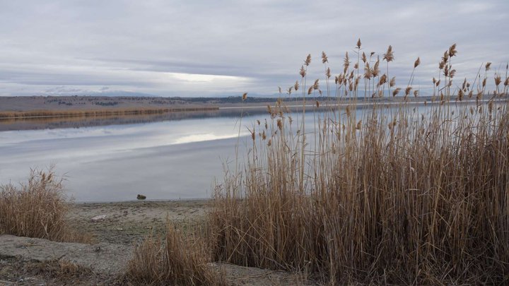 Lake Kumisi