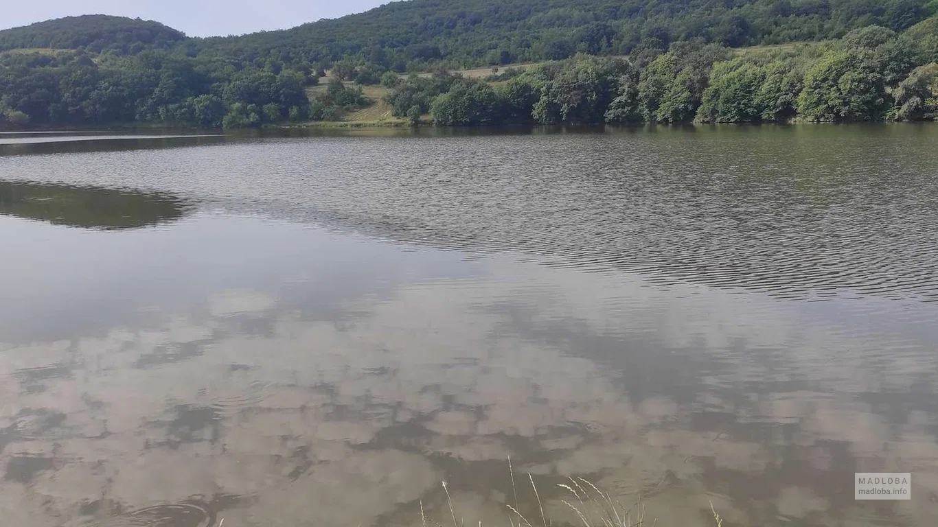 Отражение кудрявых облаков в воде озера Липи