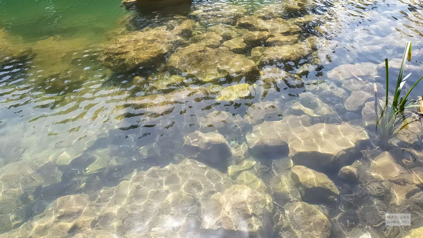 Каменный булыжники в воде озера Папанцквили