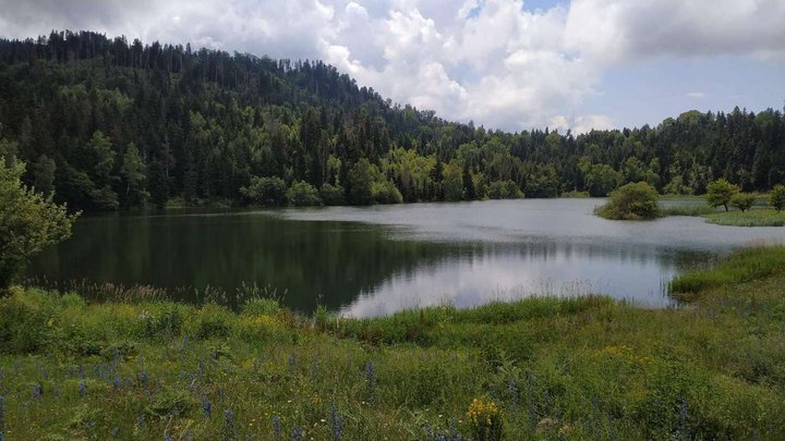 Озеро Папанцквили