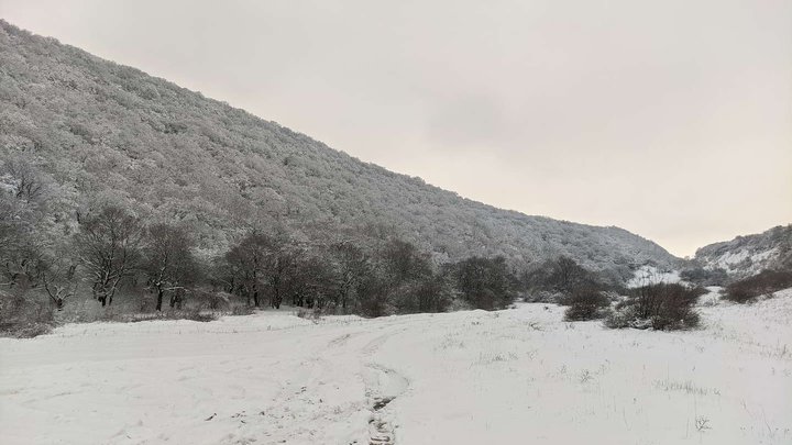 Lake Tsodoreti