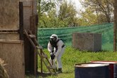 PAINTBALL PARK