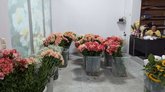 Gvirila Flowers