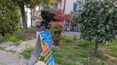 Magic Forest Vape მაღაზია ბათუმი