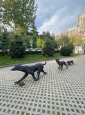 Monument to Stray Dogs of Tbilisi
