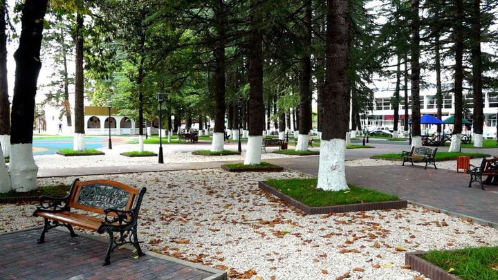 Park alley opposite the administration building