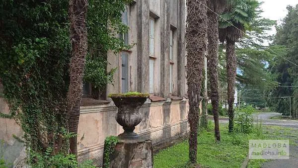 Заброшенное здание в парке Анасеули