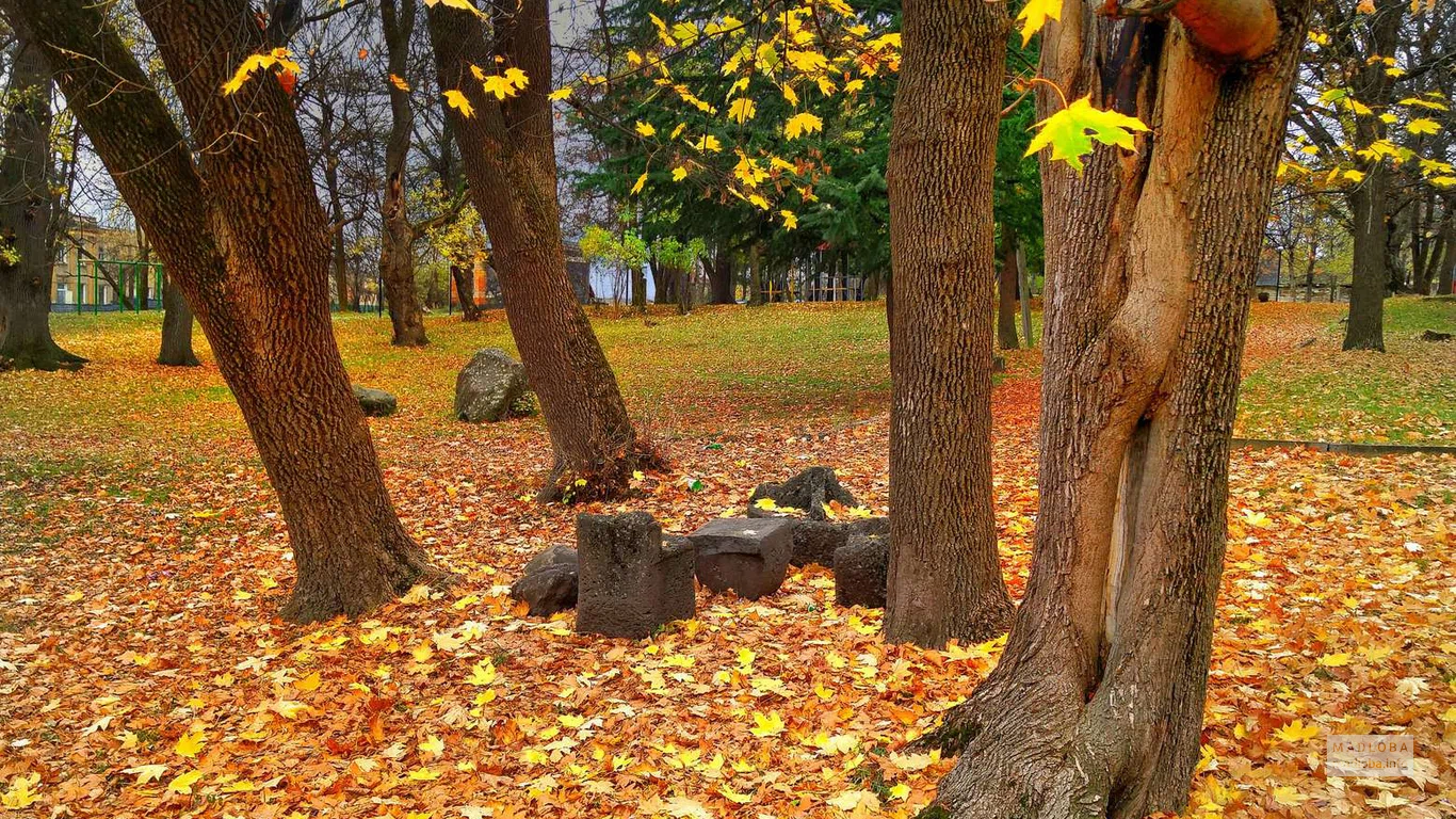 Ковер из опавших листьев в Парке белок