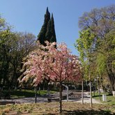 Парк Георгия Леонидзе