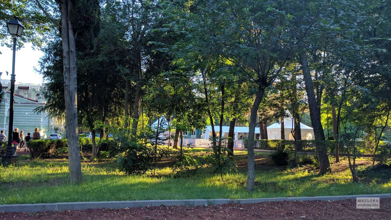Деревья вдоль аллеи в Парке Муштаид