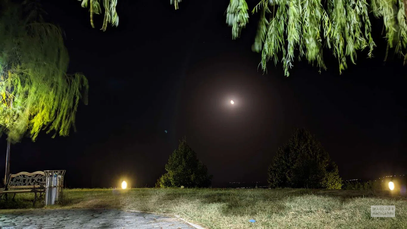 Луна в ночном небе над Парком Надиквари в Телави