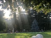 ნადიკვრის პარკი