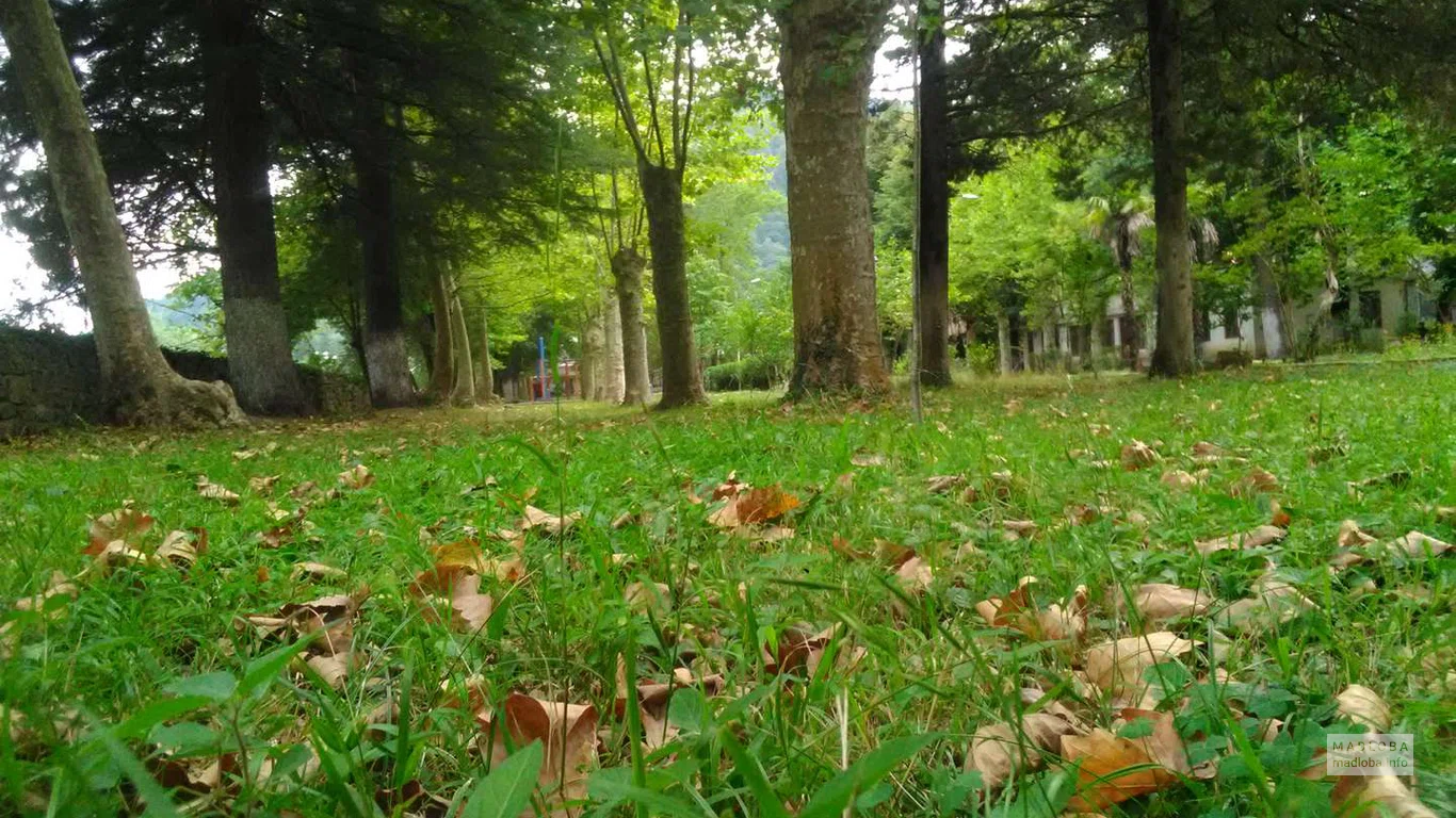 осень в Парке культуры и отдыха в Харагаули