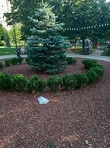 Swedish-Georgian Friendship Park