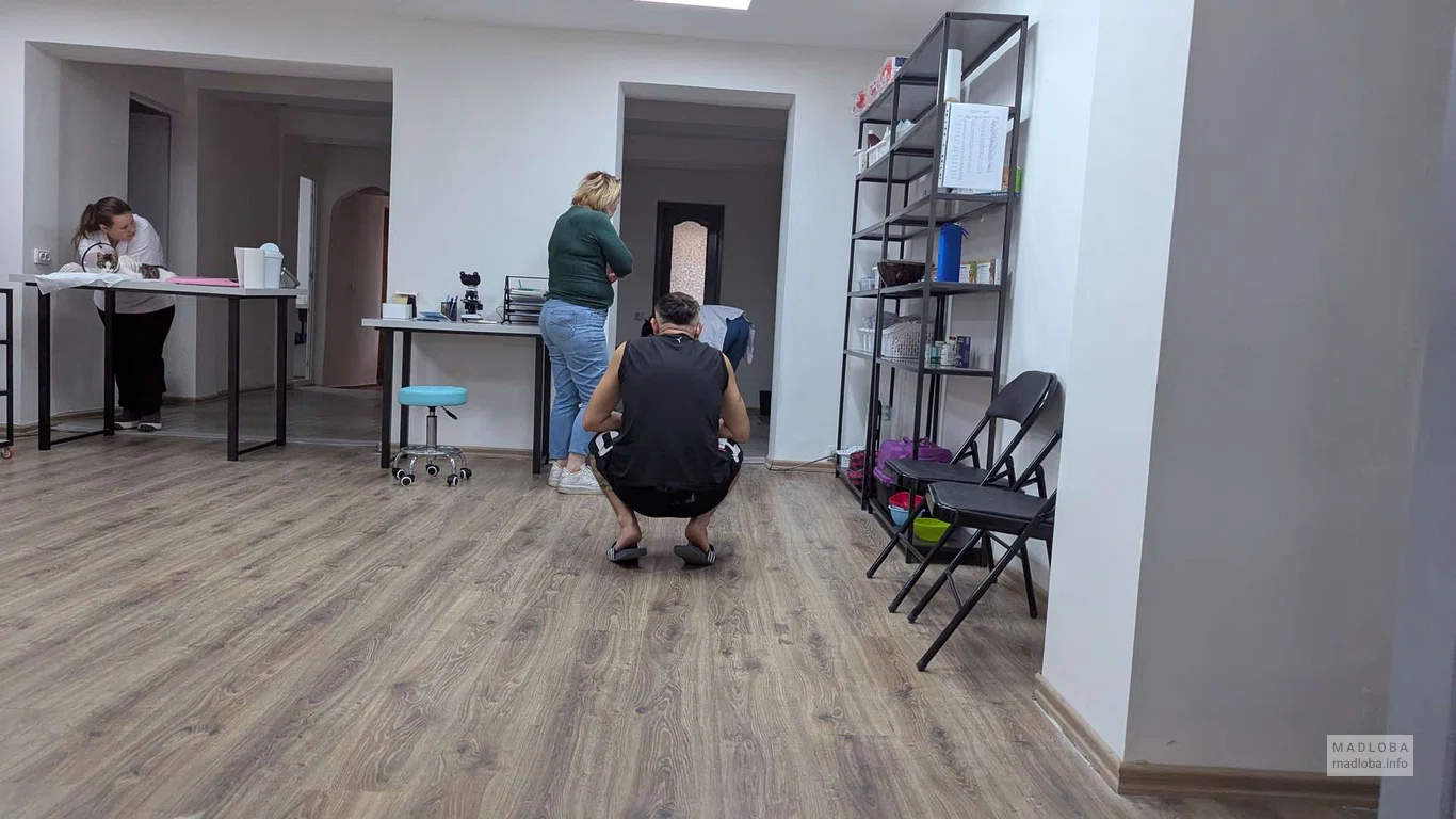 Клиника для животных Pecora в Батуми