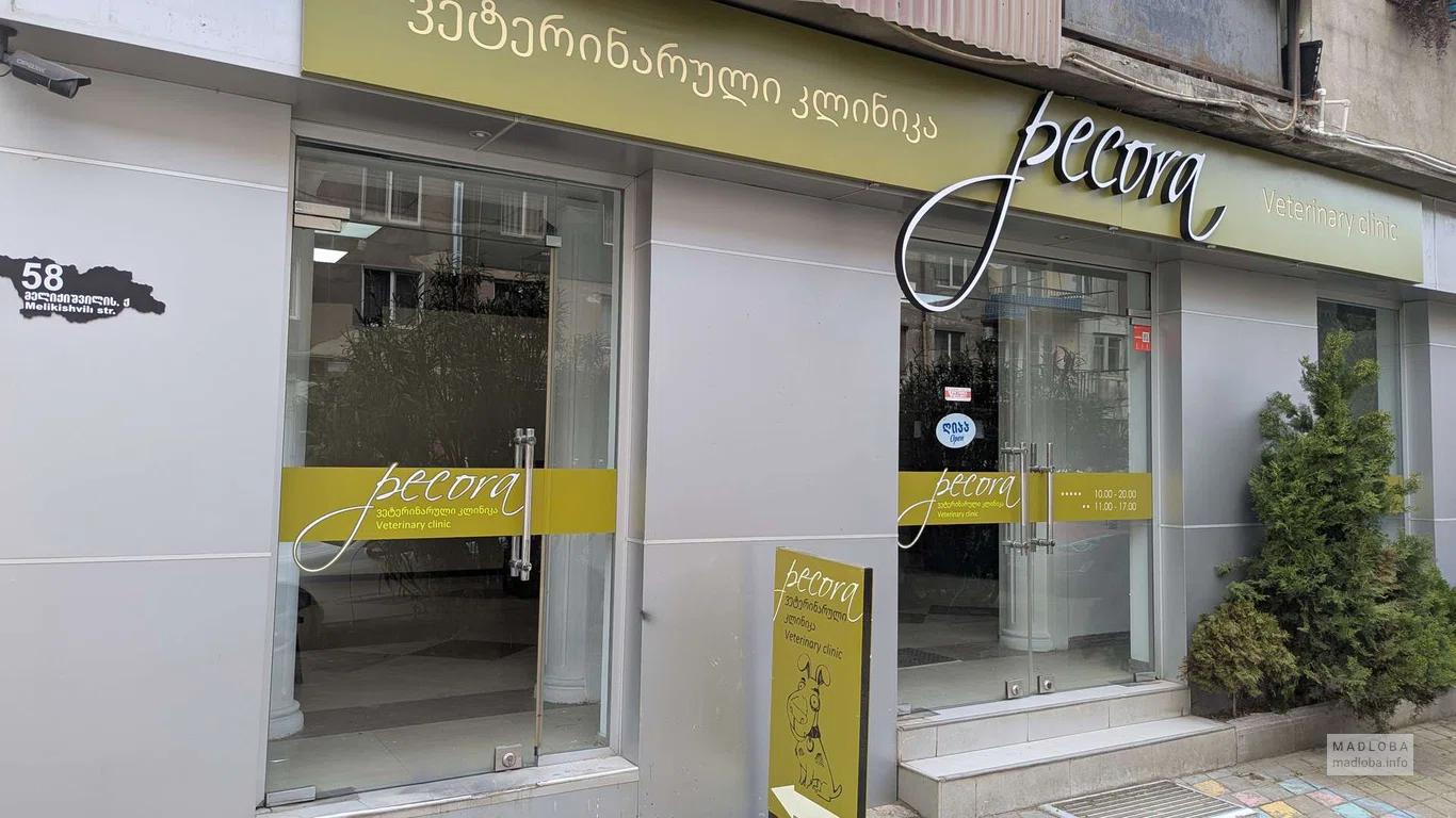 Ветеринарная клиника "Pecora" в Батуми