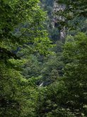 ტობა ჩანჩქერი