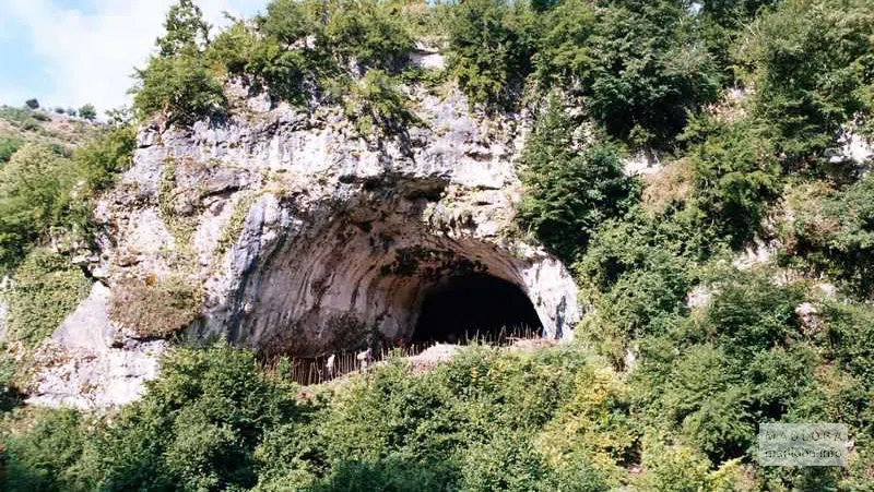 Спрятанная в зелени пещера Дзудзуана