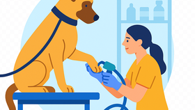 Pet Care & Veterinary