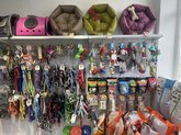 Pet Stop (Automshenebeli)