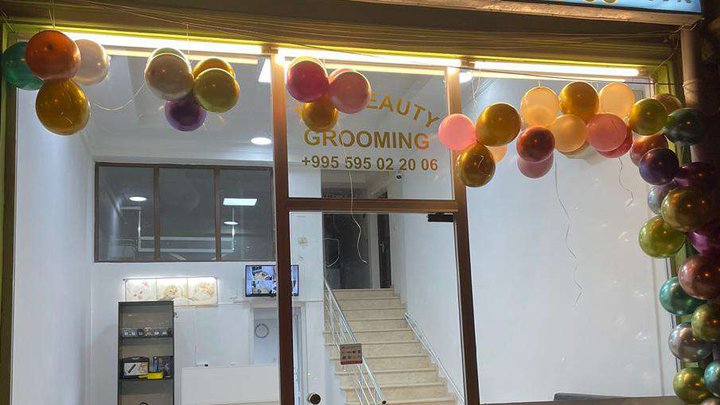 Pet beauty grooming Batumi