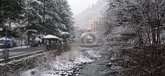 Мост Петля