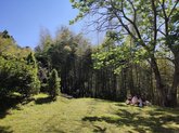 Picnic Area
