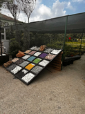 Plant Nursery (230 Airport Highway)