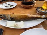 ლუდის ეზო