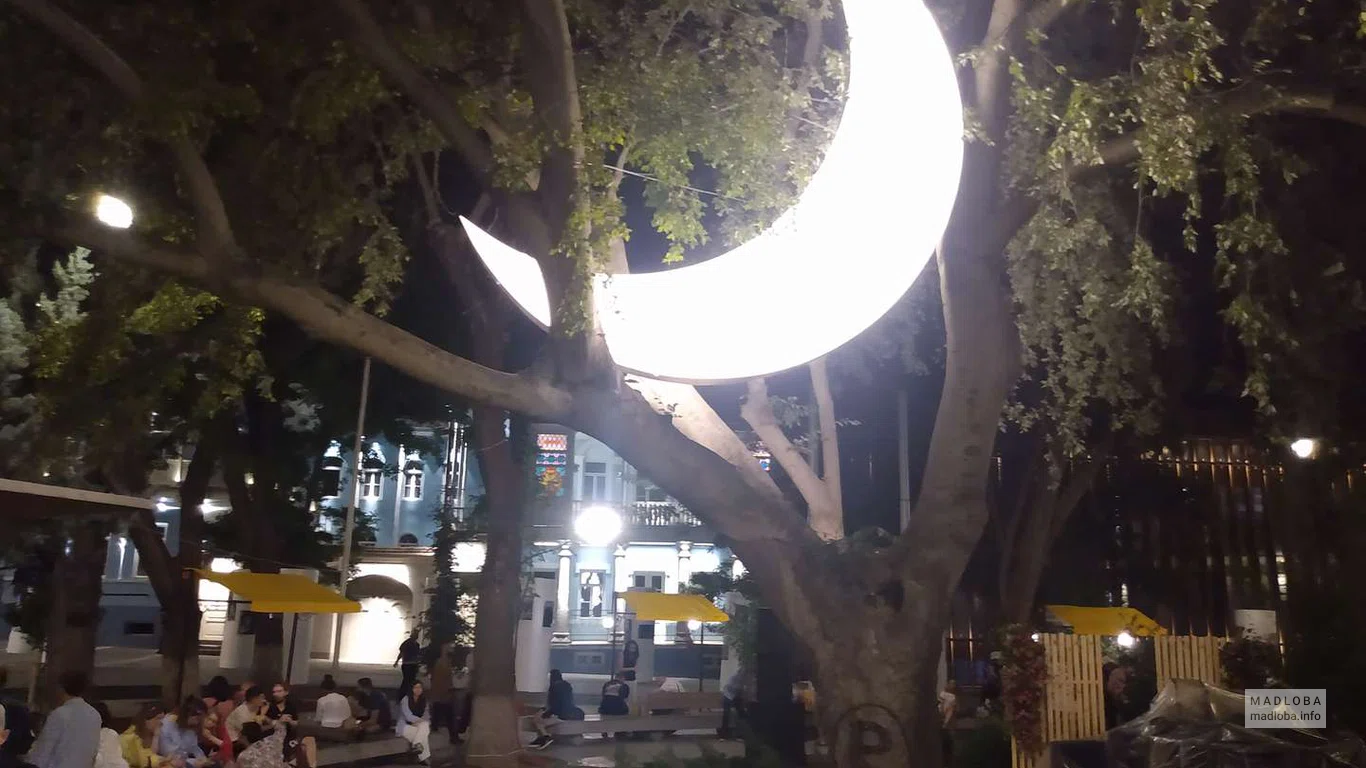 Луна в дереве в сквере на Площади Ладо Гудиашвили