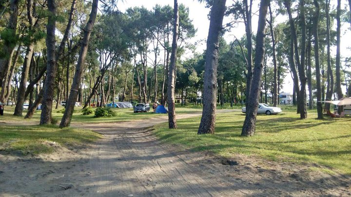 Municipal camping