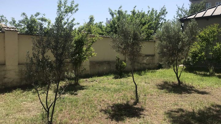 Orthodox Church of Vakhtang Gorgasli in Kaspi