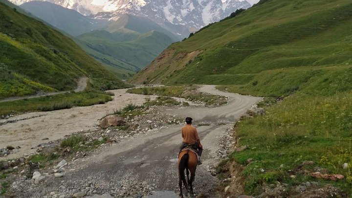 Official horse rental in Ushguli