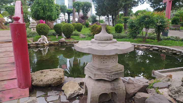 Fish pond in the Japanese garden
