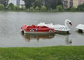 Rental of electric boats and catamarans (Park 6 May)