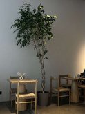 Pure coffee & food