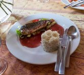 Пурпур Мураберия