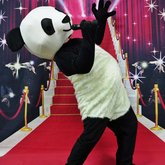 Crazy Panda
