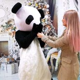 Crazy Panda
